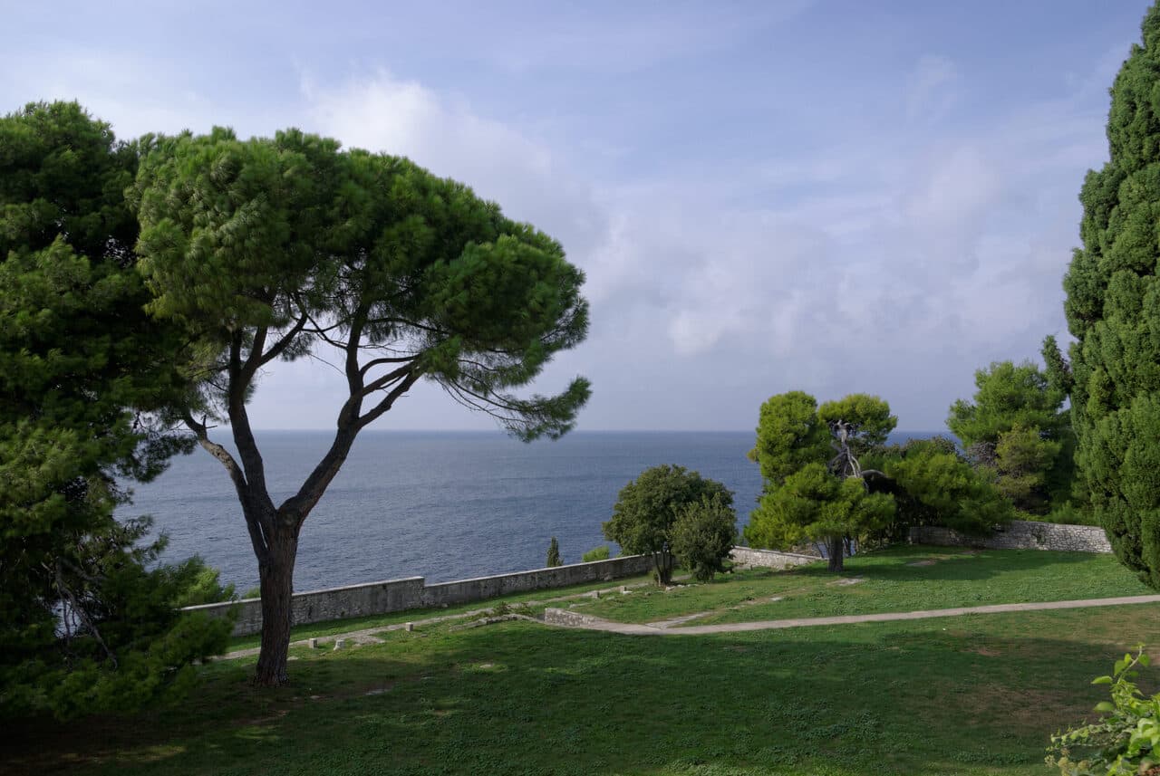 Pine trees on a grassy headland above the Adriatic Sea